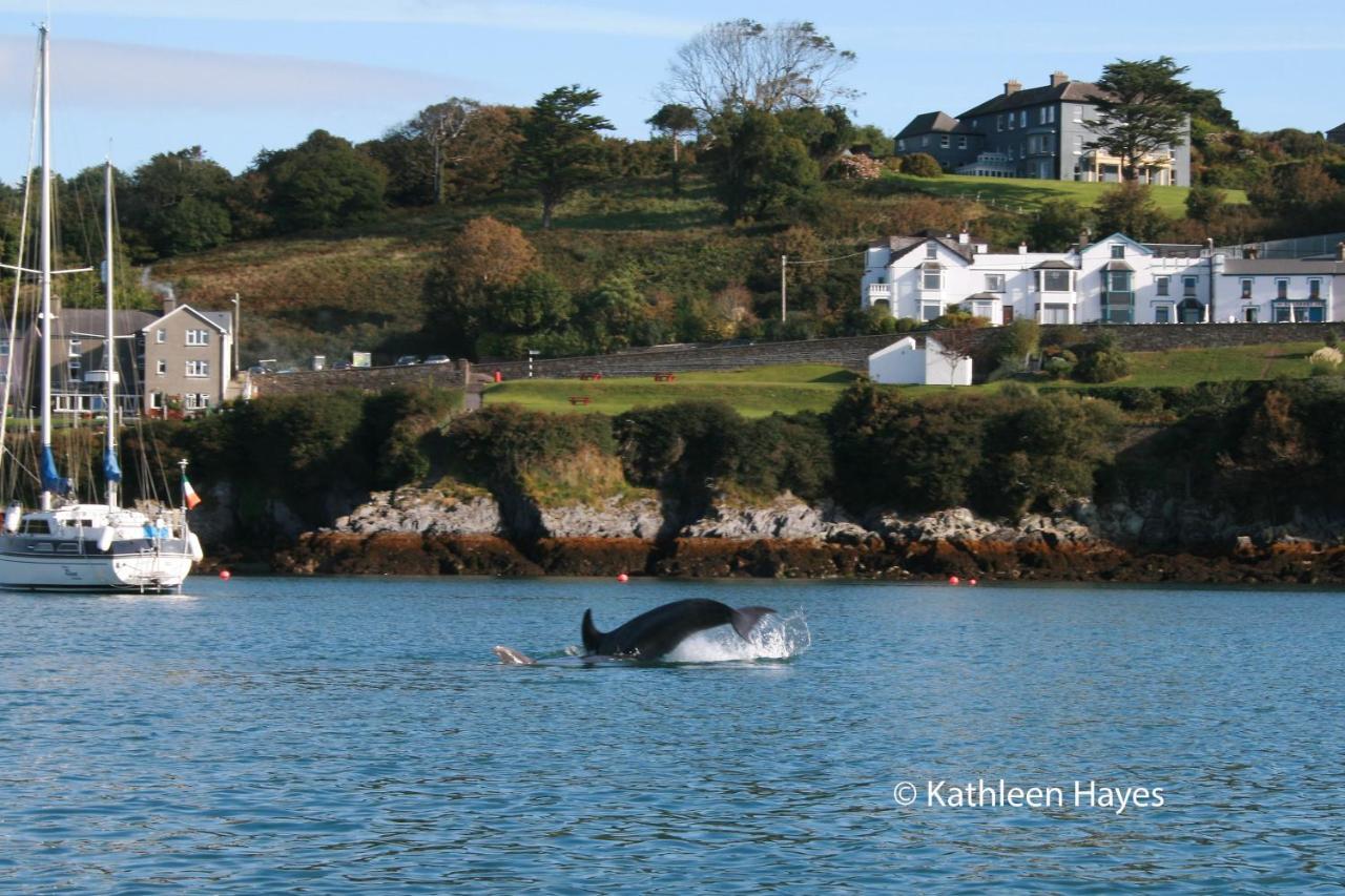 Bay View B&B Glandore Zewnętrze zdjęcie