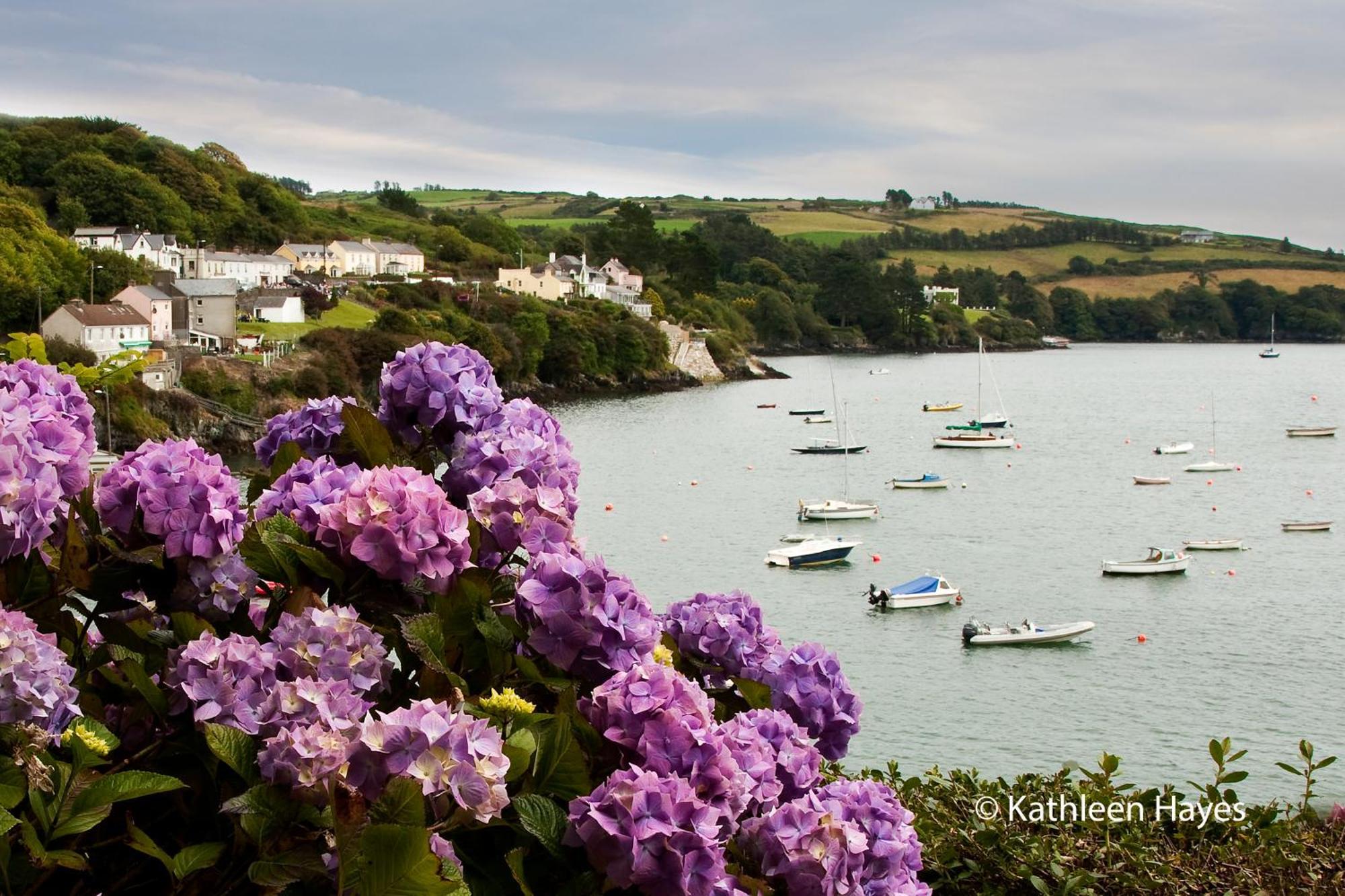 Bay View B&B Glandore Pokój zdjęcie